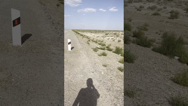 саранча #dreamway #путешествие #travel #отдых #туризм #shortsvideo #shorts #Узбекистан #природа смотреть онлайн