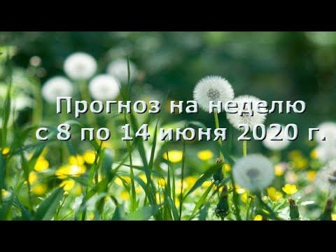 Прогноз на неделю с 8 по 14 июня 2020 г. смотреть онлайн