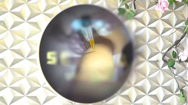 SELENA SPA 10 смотреть онлайн