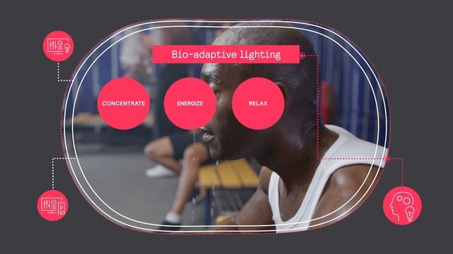 Interact Sports - Connected LED lighting system and software смотреть онлайн
