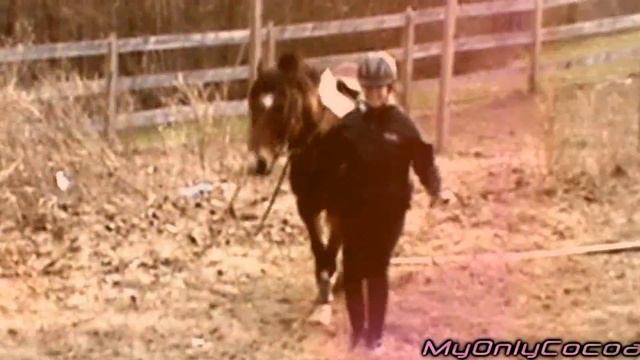 Celtic Acres Equestrian ♔ ι αм тιтαɴιυм {JKTA} смотреть онлайн