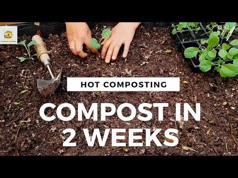 Make compost fast at home ~ compost in just 2 weeks~ Rejuvenate old soil before planting a new crop смотреть онлайн