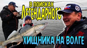 В поисках Легендарного Волжского Хищника. Рыбалка с Григорием Безменовым на Волге.