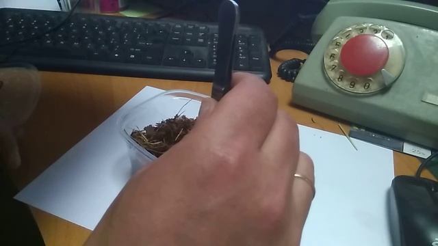 Знакомство со Степой смотреть онлайн