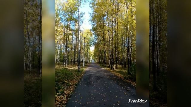 🍂🍂🍂Осень золотая 🍂Пермский край🍁🍁🍁 смотреть онлайн