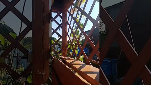 Лёд 🎵🎵🎵🎵🎼🎼🎼🎼🎤🎤🎤🎤🎧🎧🎧🎶🎶🎶🎶🎶❣️❣️❣️❣️Круто да я знаю что вам понравится смотреть онлайн