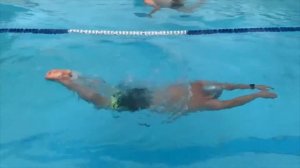 Руки брасс ноги дельфин