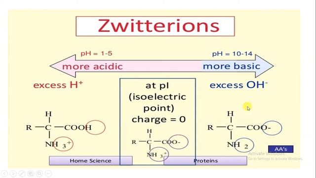 Acidic Stains смотреть онлайн