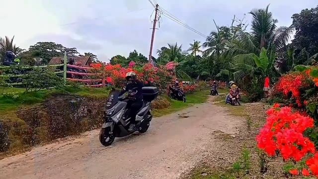 #love #fun #N-MAX Club Ph planting a coconut tree ...🌴 смотреть онлайн