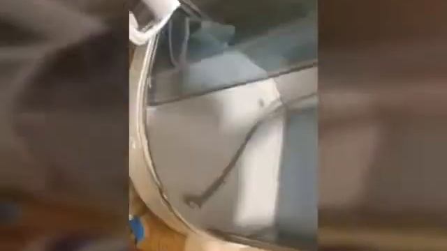 Облился холодной водой!!! смотреть онлайн