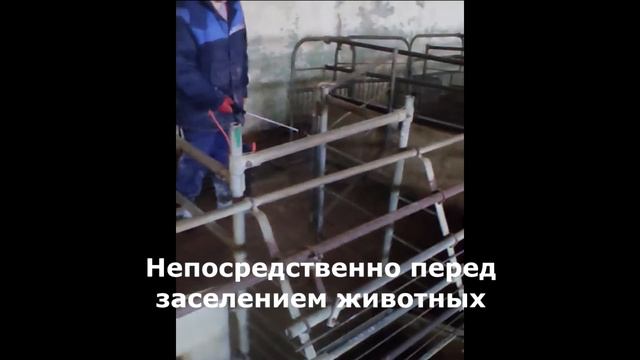 Применение микробиологического препарата BioStable смотреть онлайн