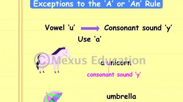 How To Use Articles  A, An, The | English Grammar | iKen | iKen Edu | iKen App