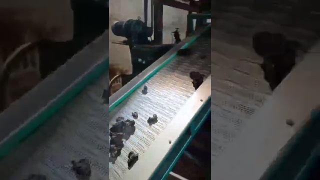 waste tire recycling line to reclaim rubber, Rubber devulcanization смотреть онлайн