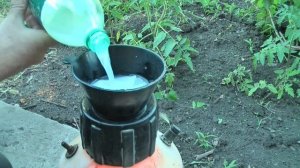 ЙОД, СЫВОРОТКА, БОРНАЯ КИСЛОТА- супер средство для помидор и всех овощей!