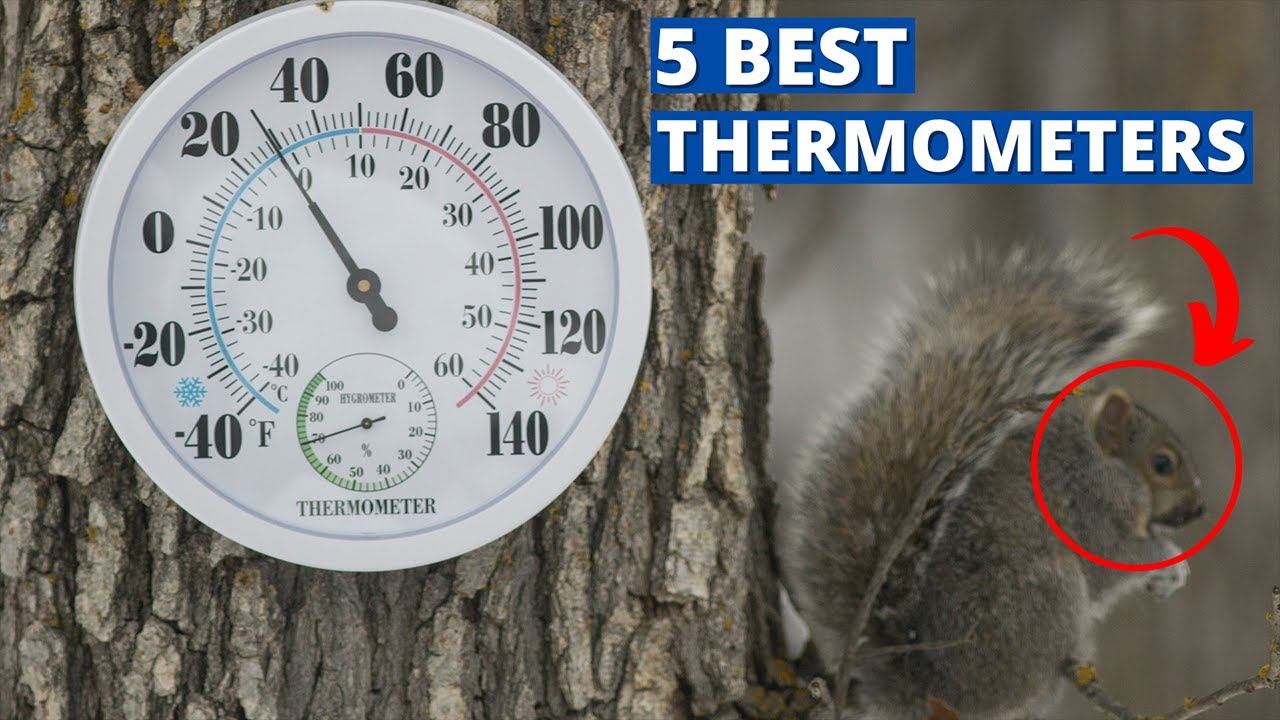 TOP 5: Best Indoor Outdoor Thermometers | Review and Buying Guide смотреть онлайн
