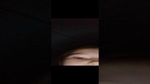 VID_20241115_171750.mp4