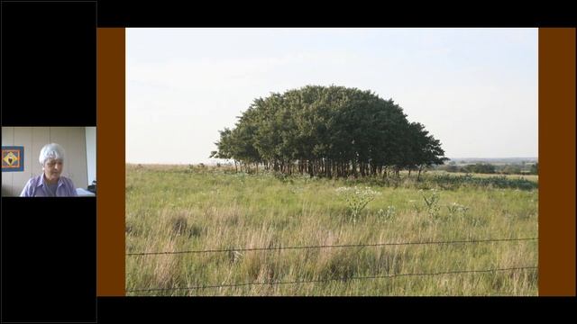 2019 Webinar Series -Ep 4- American Indian Boarding School Stories from the 19th and 20th Centuries смотреть онлайн