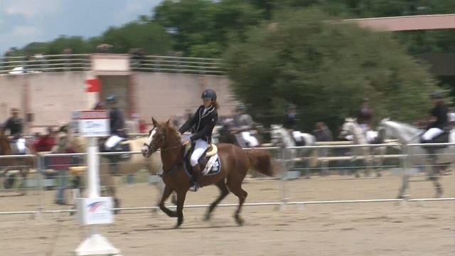 lamotte 2014 Estelle et Némo cso poney 1D cadet 1 deuxième jour смотреть онлайн