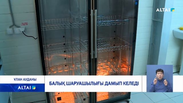 БАЛЫҚ ШАРУАШЫЛЫҒЫ ДАМЫП КЕЛЕДІ 17.11 смотреть онлайн