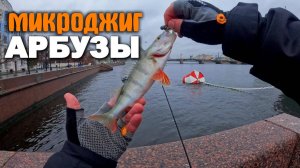 Уловистый СТРИТФИШИНГ НА НЕВЕ: АРБУЗ с Авроры! #джигриг  #дропшот #стритфишинг #рыбалка #окунь