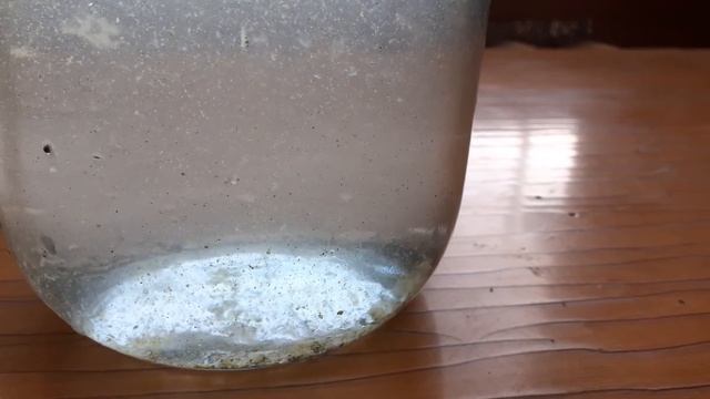 Меняю воду живой дафнии смотреть онлайн