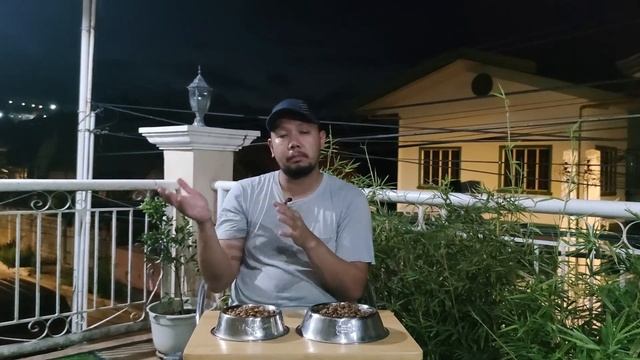 Wow nga ba si BOW WOW?!! a review on BOW WOW Dogfood смотреть онлайн