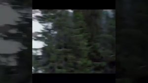 Индийские песни Из фильмов