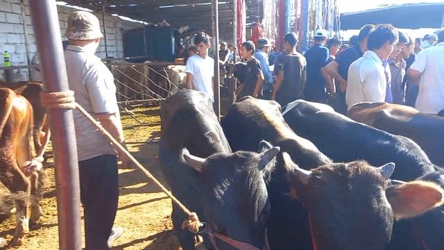 МОЛИ НИГОБОРИ МАЙДА КАЛОН смотреть онлайн