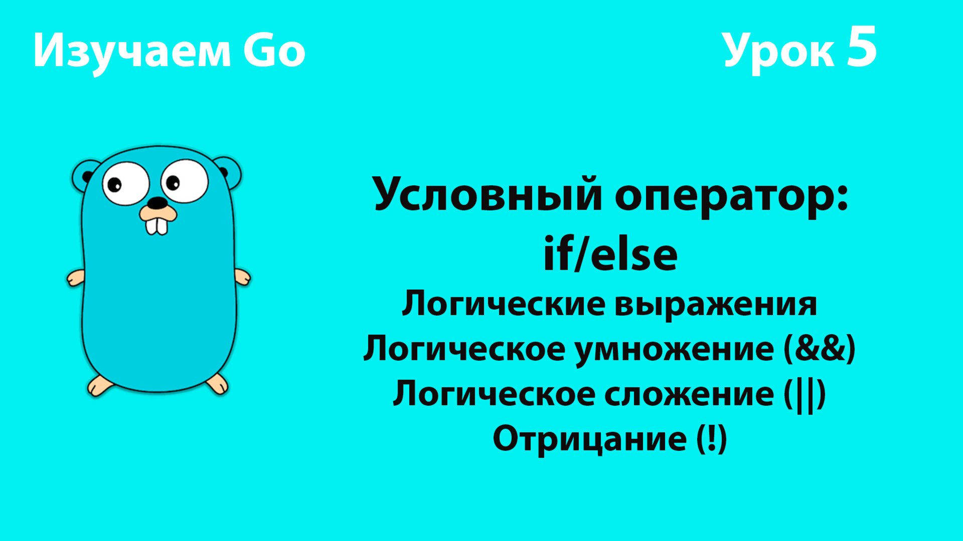 Изучаем Golang. Урок №5. Условный оператор (if/else). Логические операторы смотреть онлайн