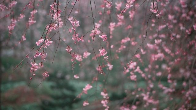 Phitherek_ - Kesio1all смотреть онлайн