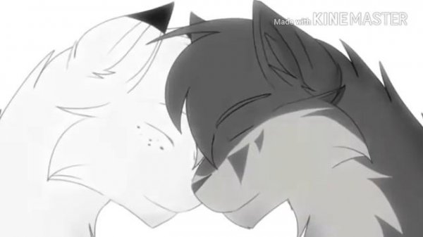 Коты воители - между нами тает лёд