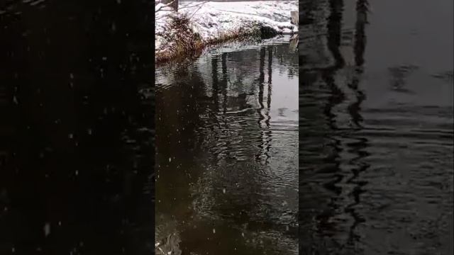 поимки смотреть онлайн