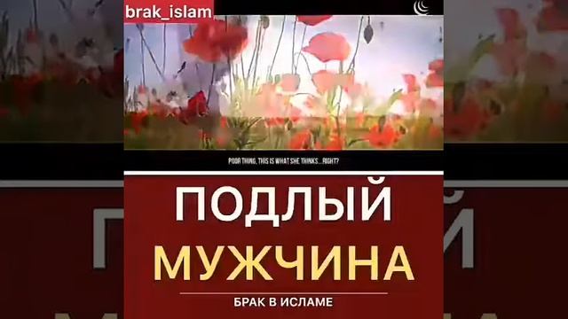 Подлый Мужчина смотреть онлайн