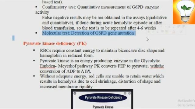 Clinical Hematology (10) Hemolytic Anemia part 4 الأنيميا التكسيرية смотреть онлайн