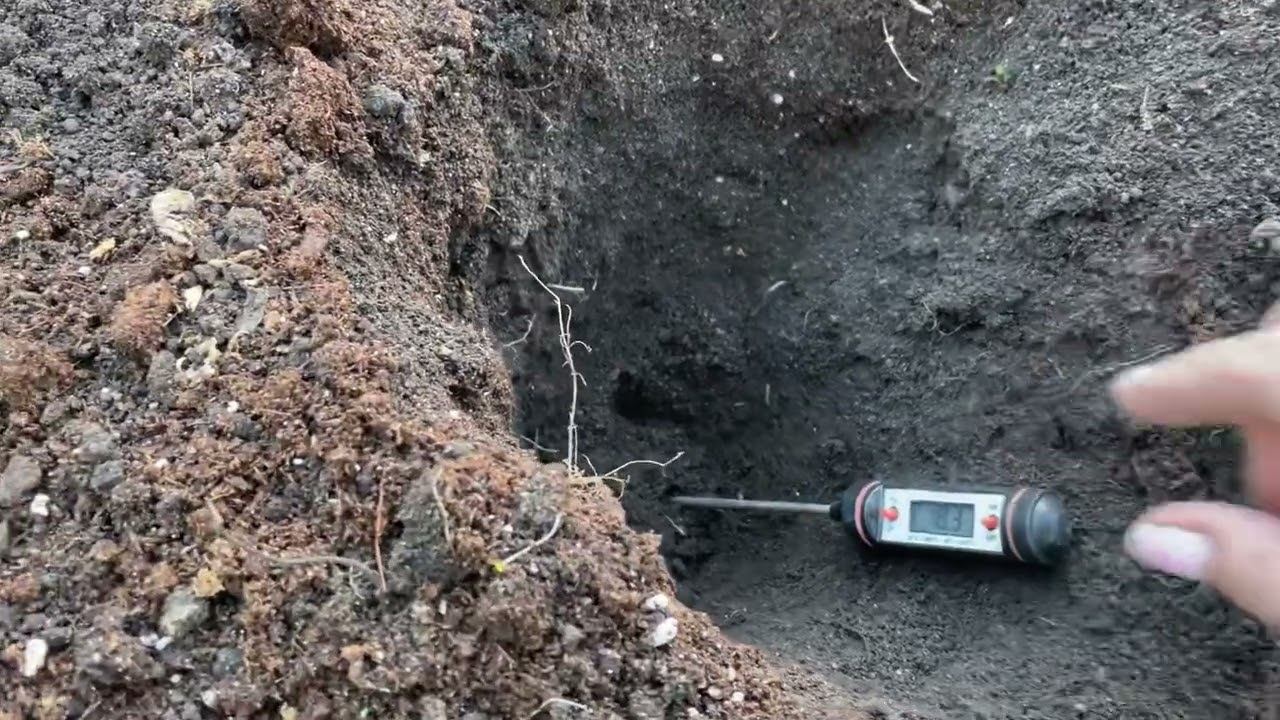 Лук рассадой высадка в грунт смотреть онлайн