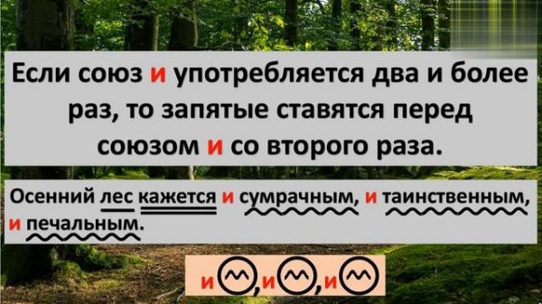 однородные