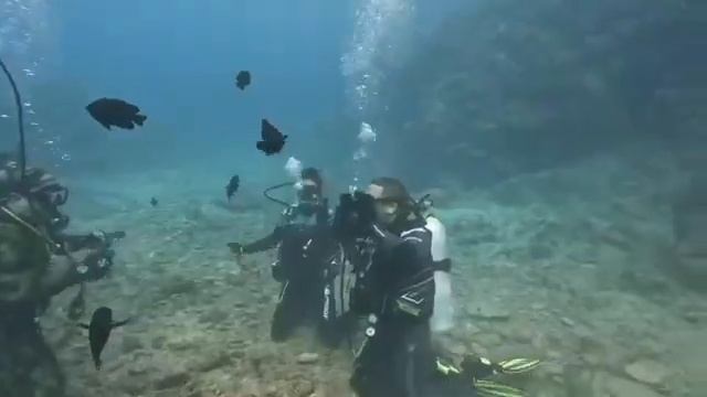 Diving Okinawa Japan смотреть онлайн