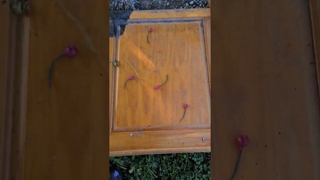 Flash powder testing смотреть онлайн