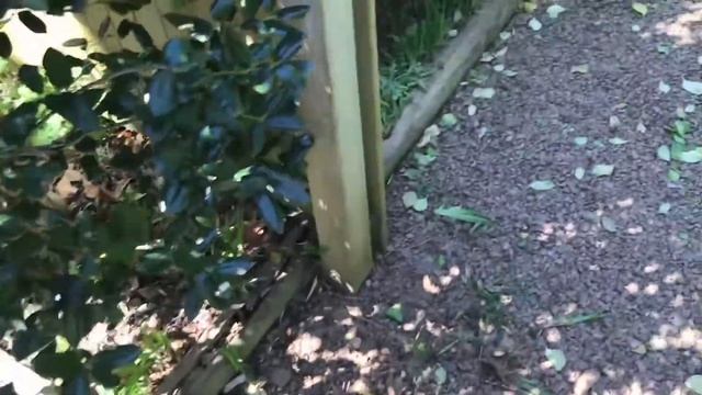 Downspout Drain Lines - Using Perforated Pipe - смотреть онлайн