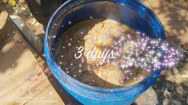 how to make fish fertilizer for plants смотреть онлайн