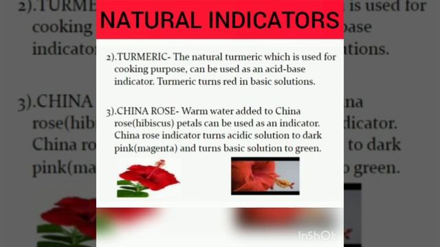 ACIDS, BASES AND SALTS (NCERT, Cl 7) смотреть онлайн