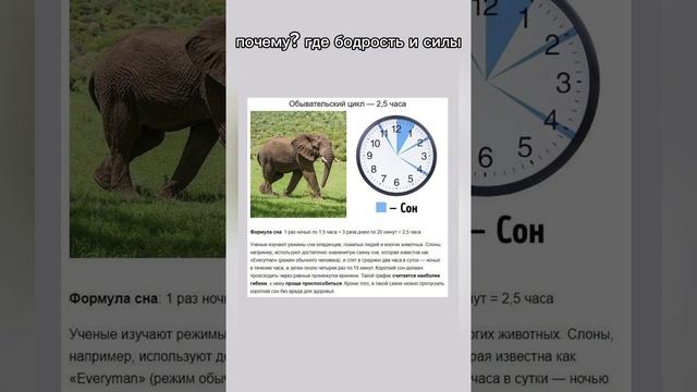 самое драгоценное это твое тело #энергия #жизнь #деньги #успех #заряд #я #мир #герой #земля смотреть онлайн