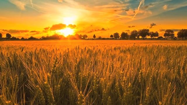 Hans Zimmer Now We Are Free (Magdelayna Remake) смотреть онлайн