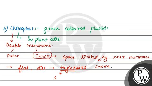 Grana and stroma are the parts of which cell organelles?
a. Mitochondria
b. Chloroplast
c. Ribos... смотреть онлайн