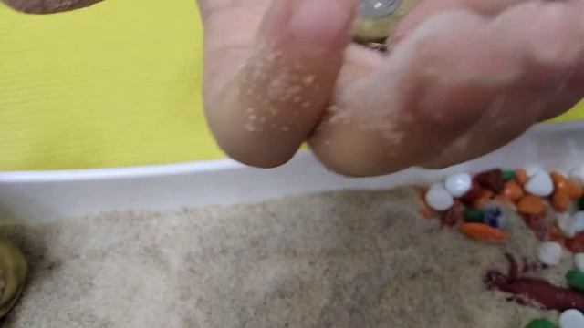 Таинственный остров. Серия занятий - игр. смотреть онлайн