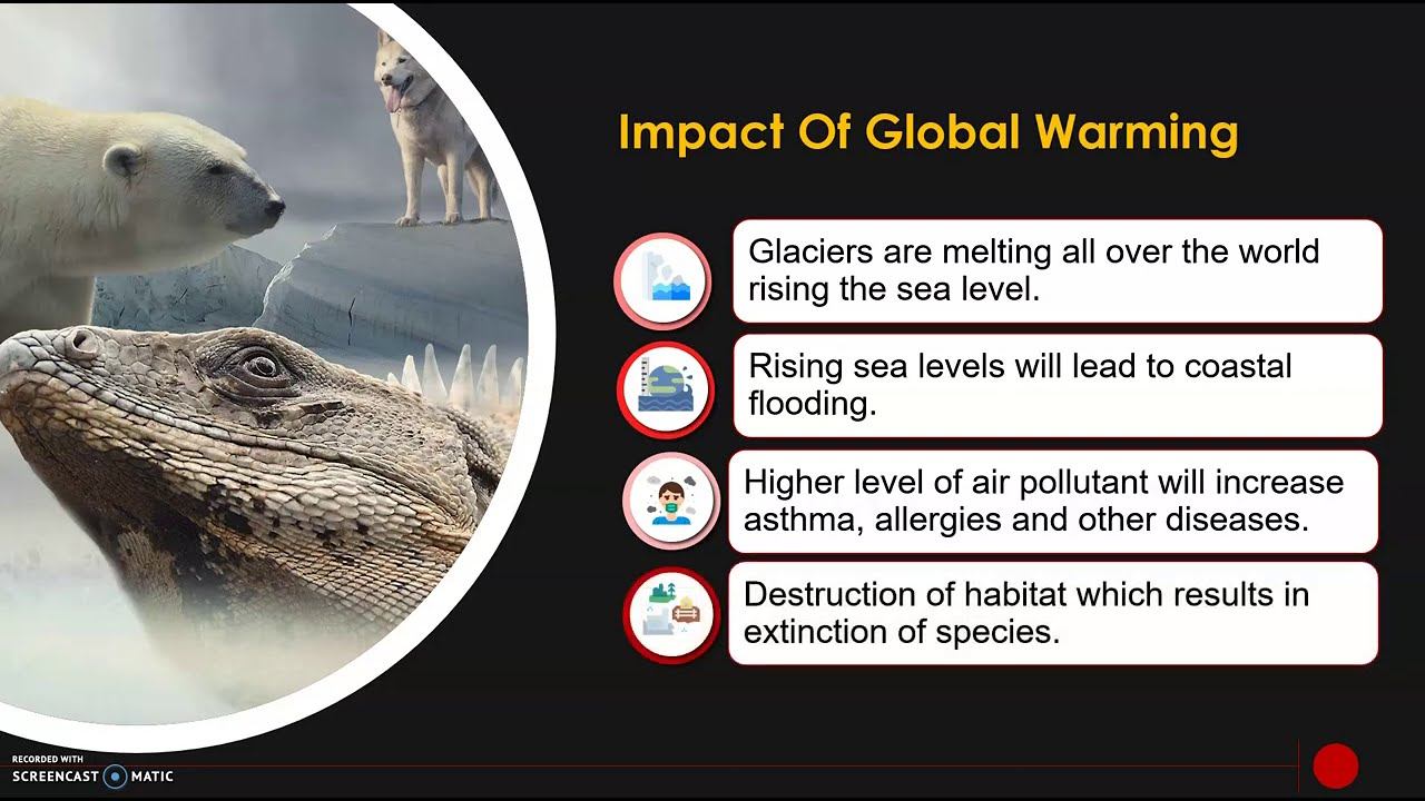 What is Global Warming? | Causes, Effects & Solutions That You Should Know смотреть онлайн