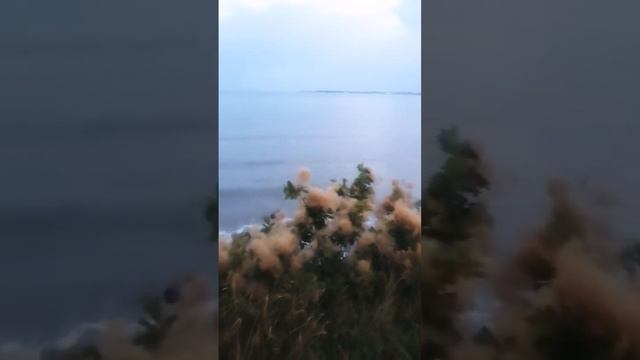 волны Геленджикская бухта 09.2023 вечер смотреть онлайн