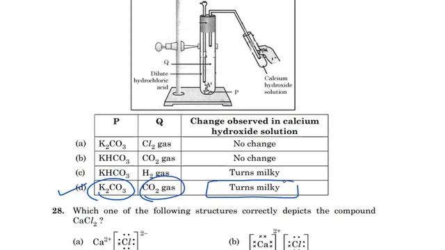 031/2/4 Science Answer key CBSE Class 10 2021 Term 1 paper code 031/2/4 смотреть онлайн