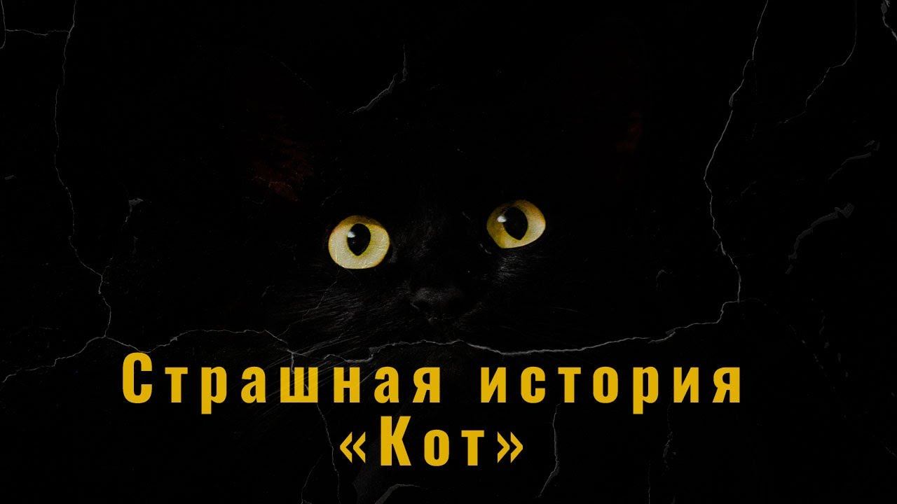 Страшная история - "Кот" смотреть онлайн