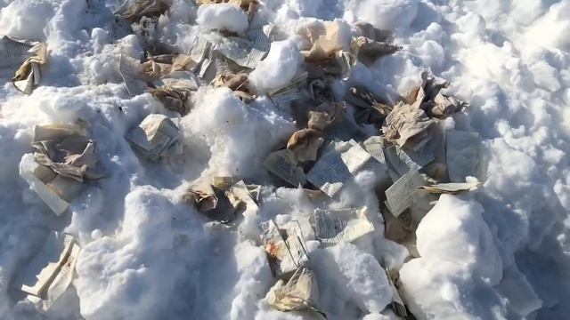 Мен экоблогермін! смотреть онлайн